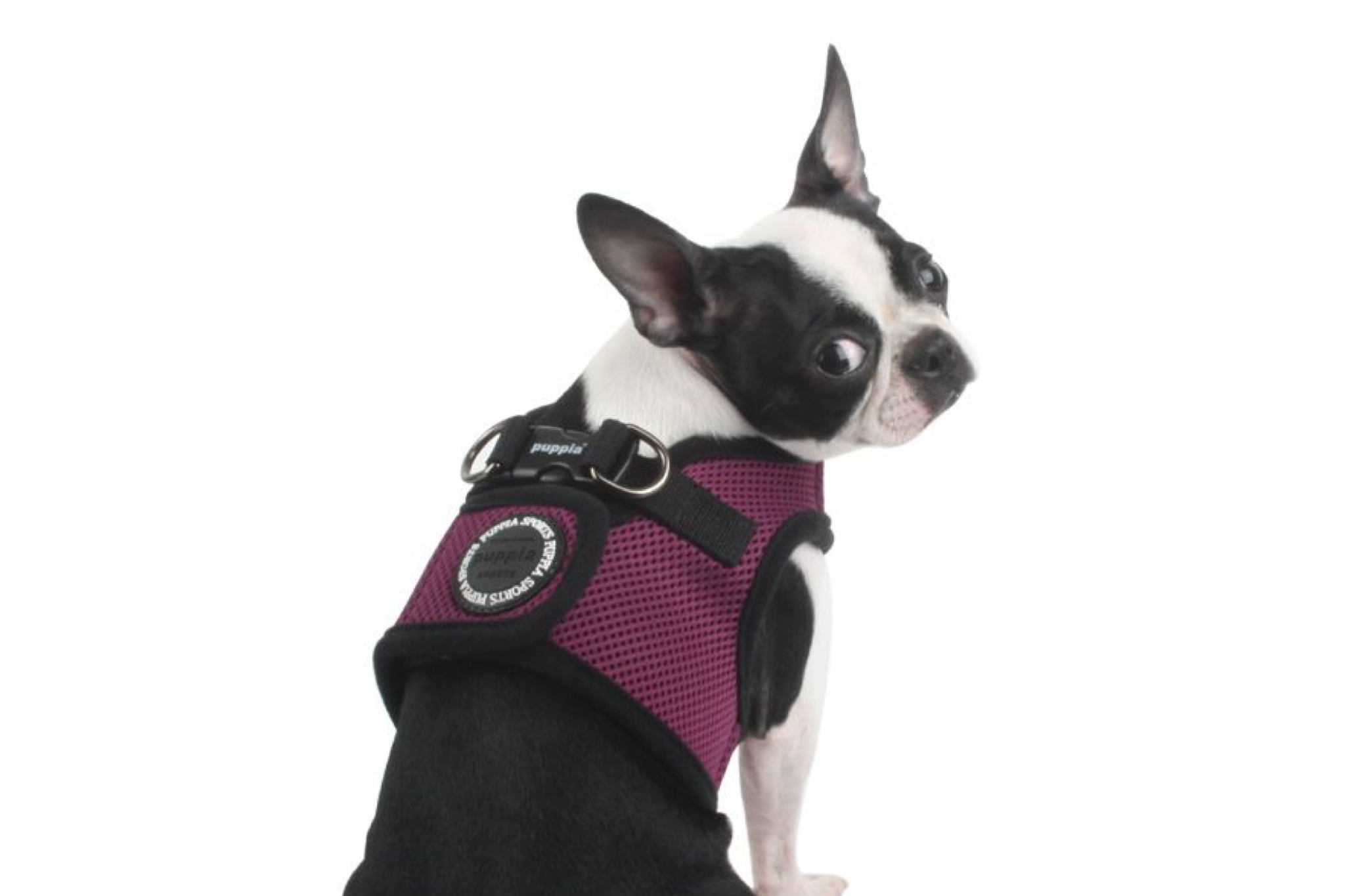 How to put on a puppia harness deals