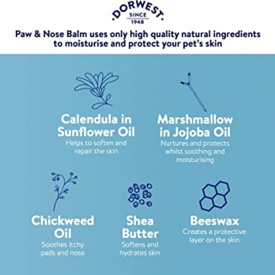 Dorwest Paw & Nose Balm - 50ml
