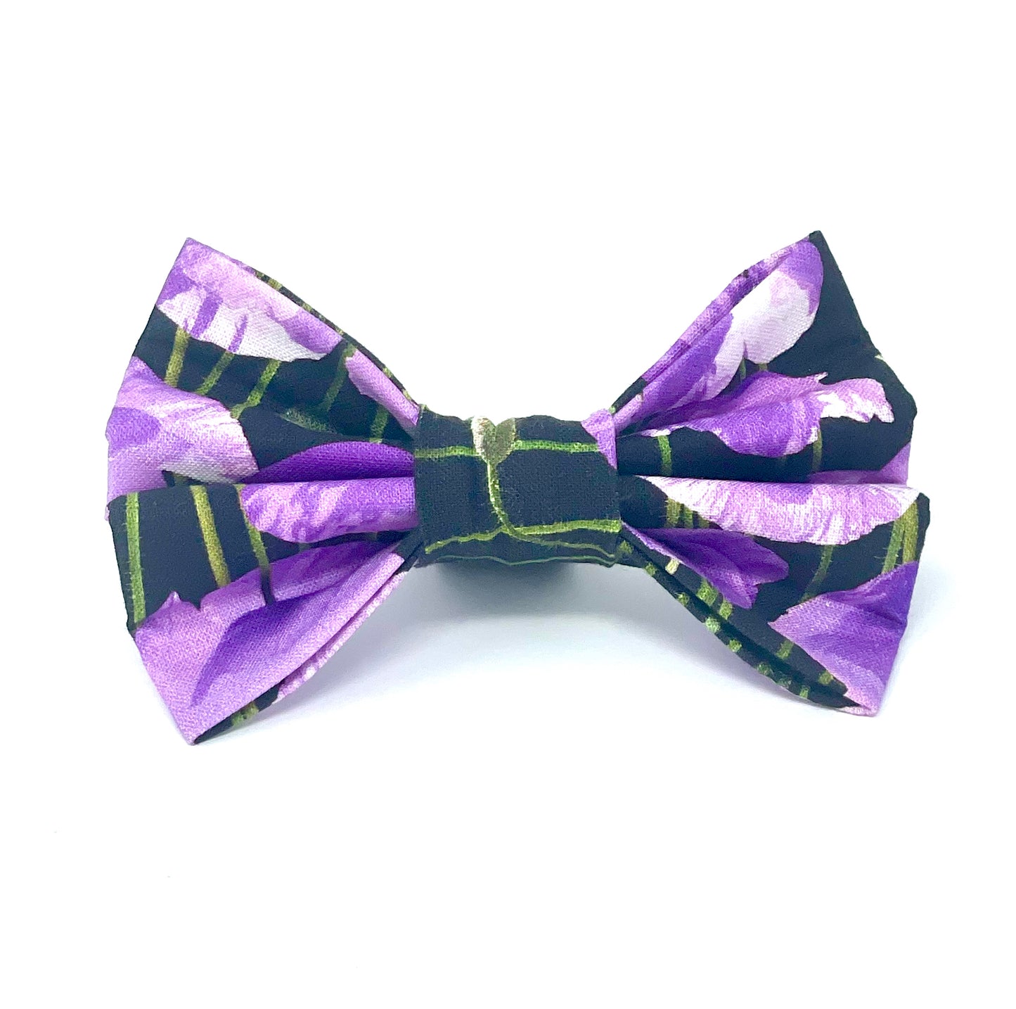 Purple Poppy Dog Bow
