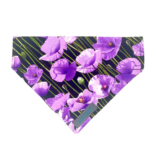 Purple Poppy Dog Bandana