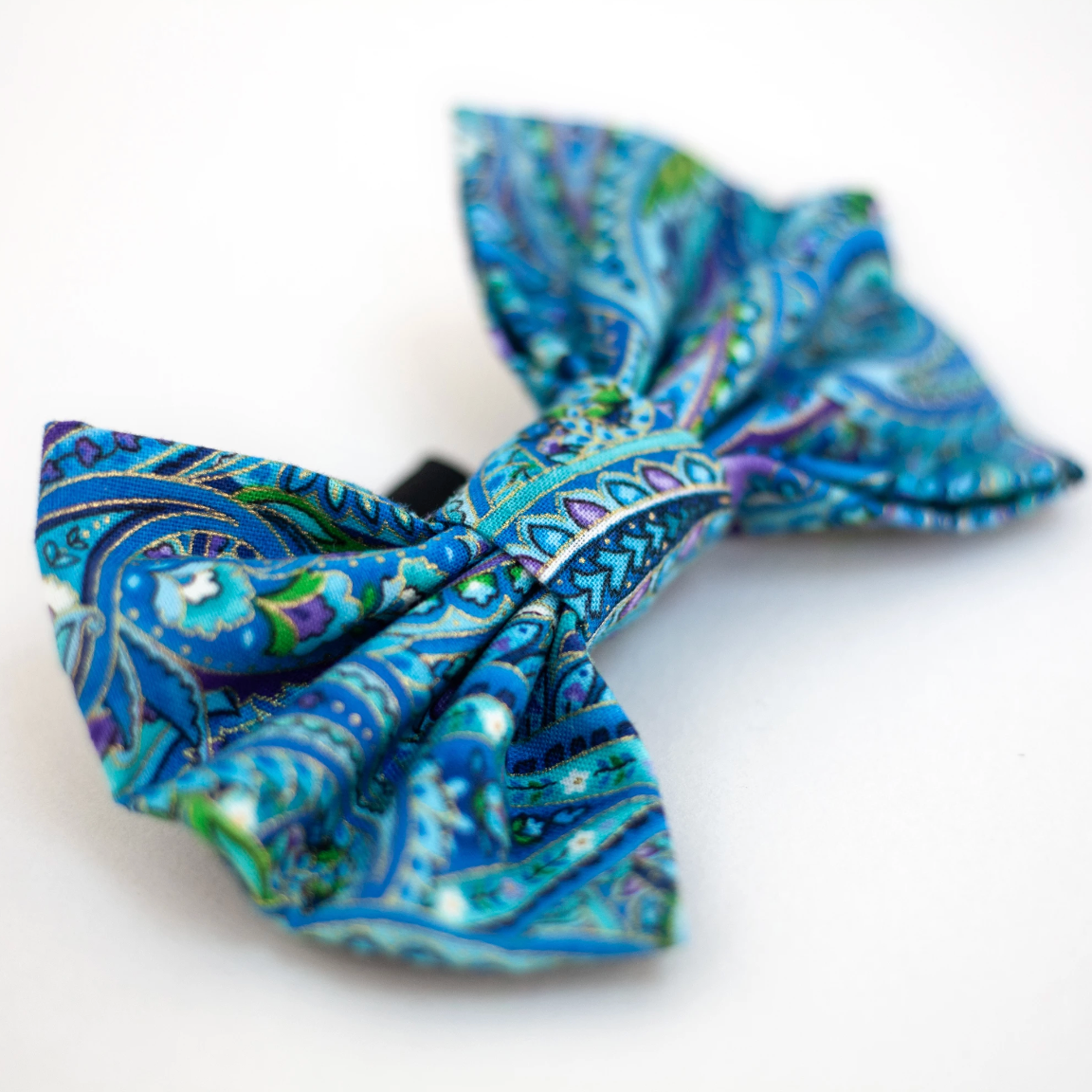 Azure Dog Bow