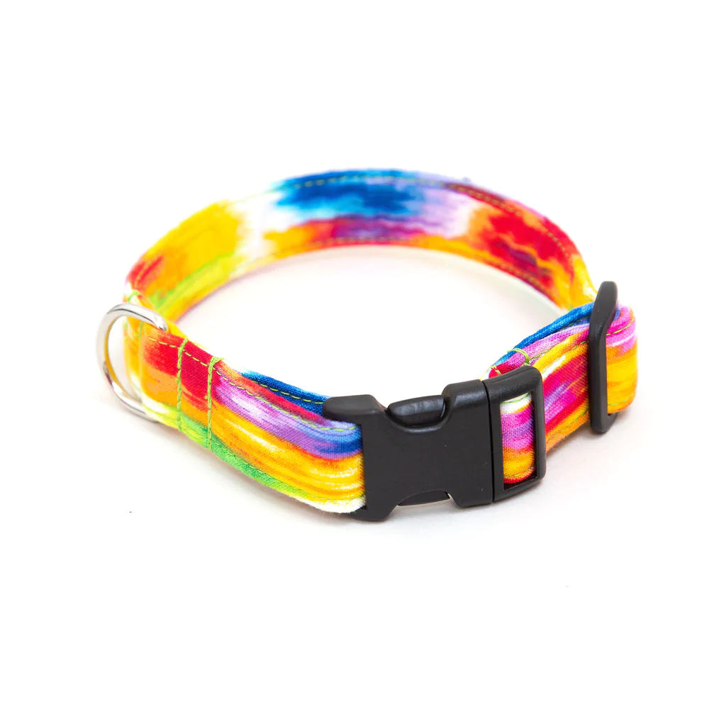 Calypso Dog Collar