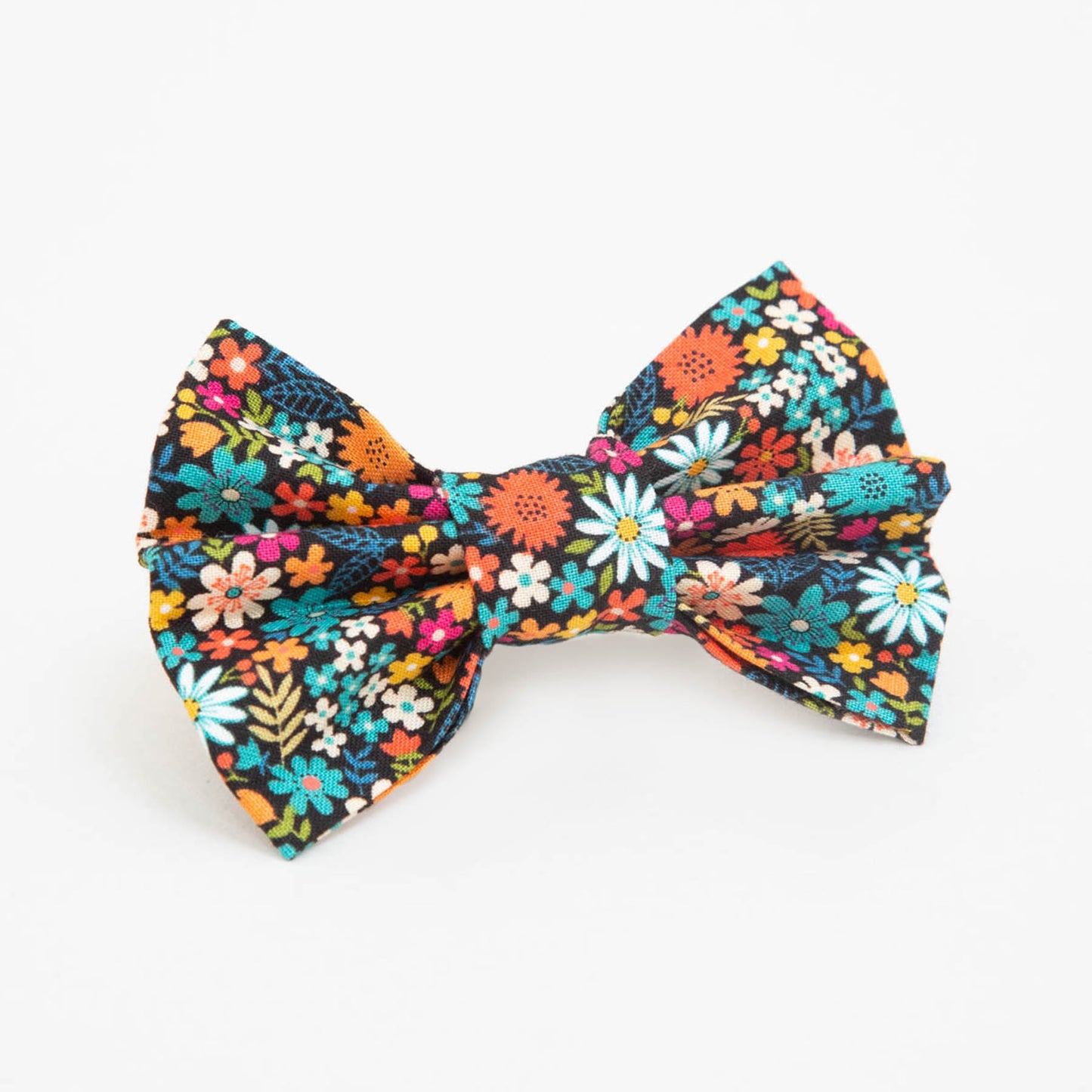 Festival Sun Dog Bow