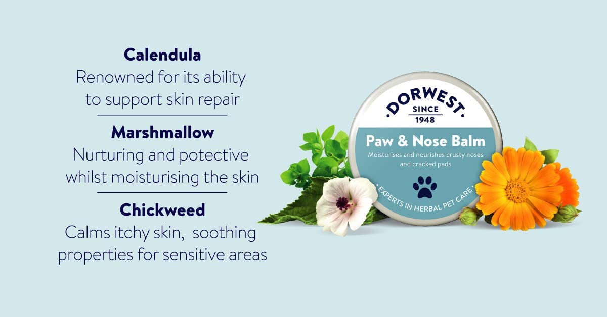 Dorwest Paw & Nose Balm - 50ml