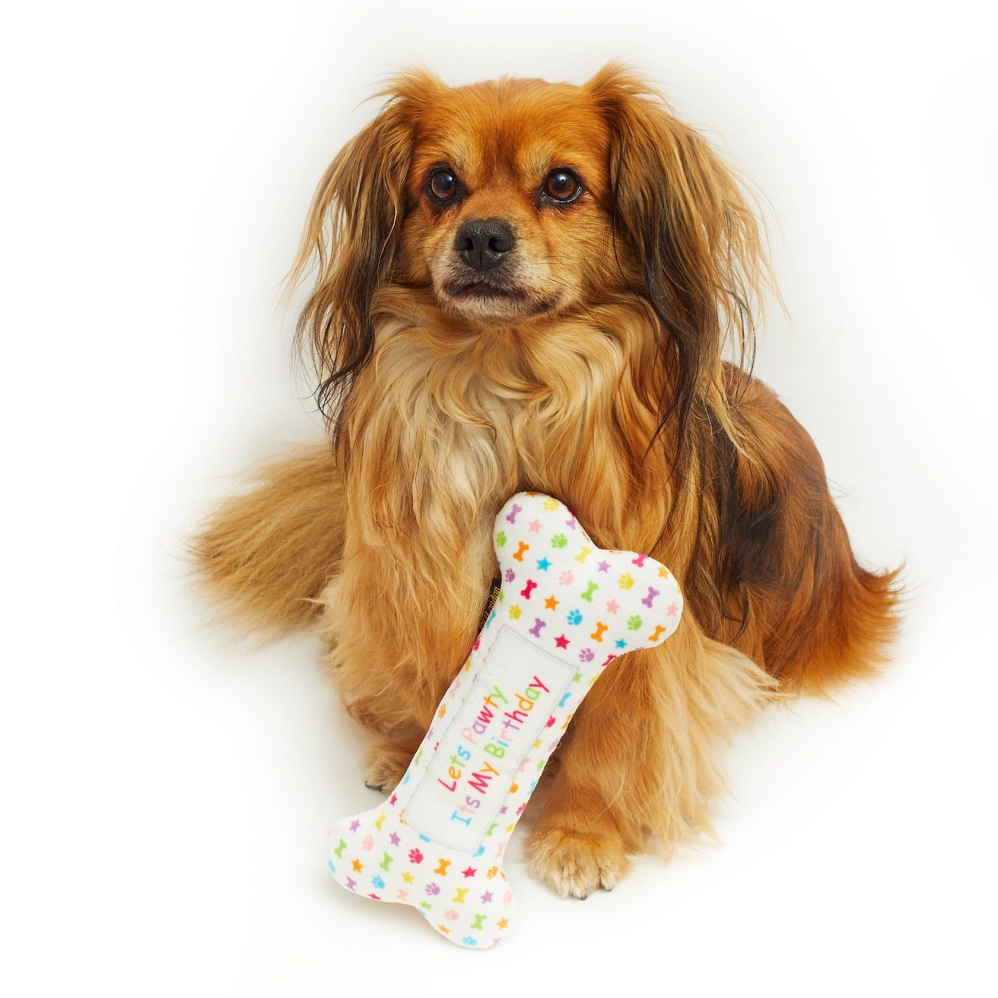 Pet London Birthday Bone