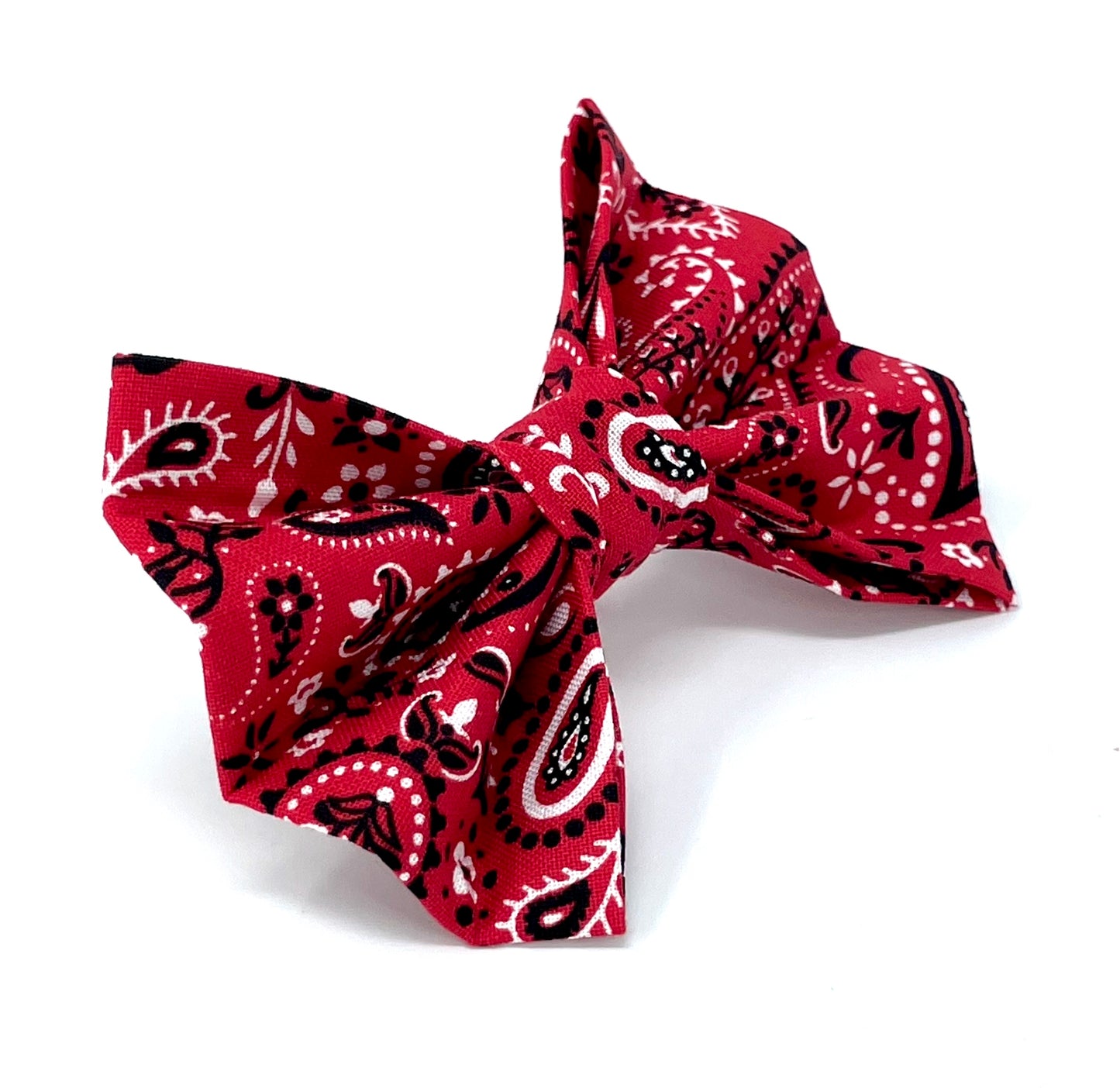 Red Paisley Dog Bow