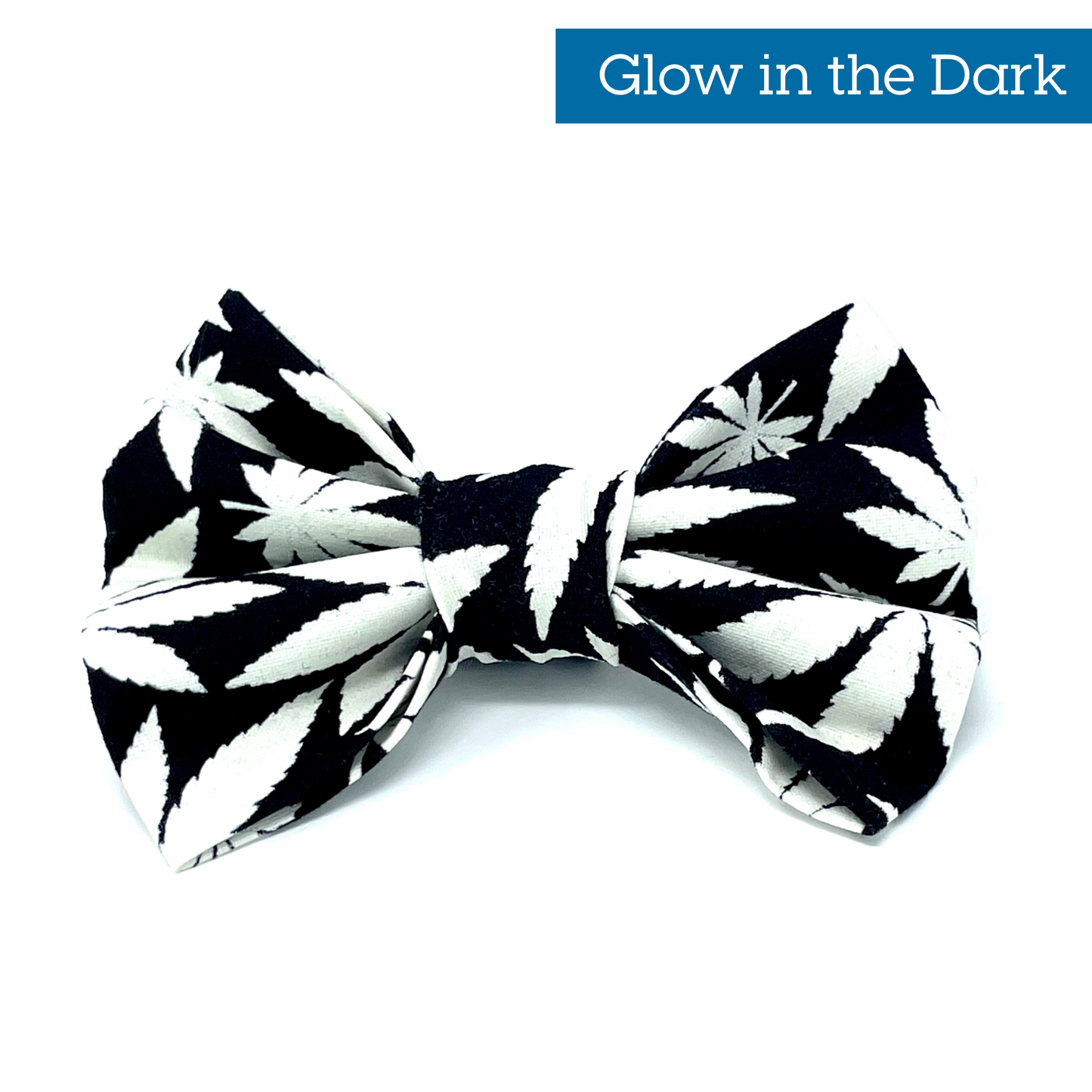 Chillax Dog Bow