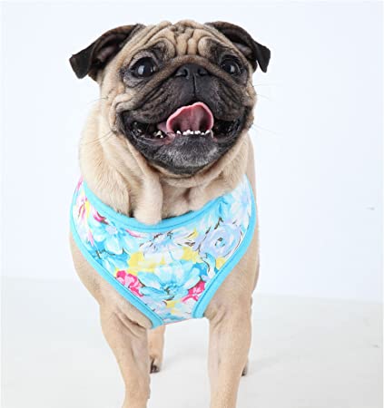 Puppia 'Spring Garden' Dog Harness - Style A