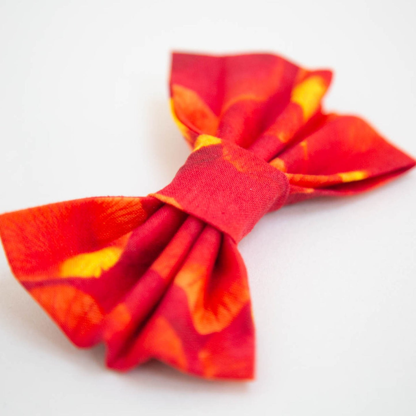 Sunrise Dog Bow