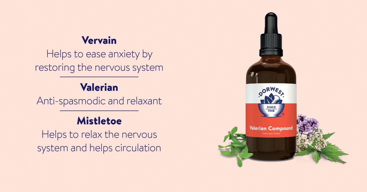Dorwest Valerian Compound for Dogs & Cats 30ml