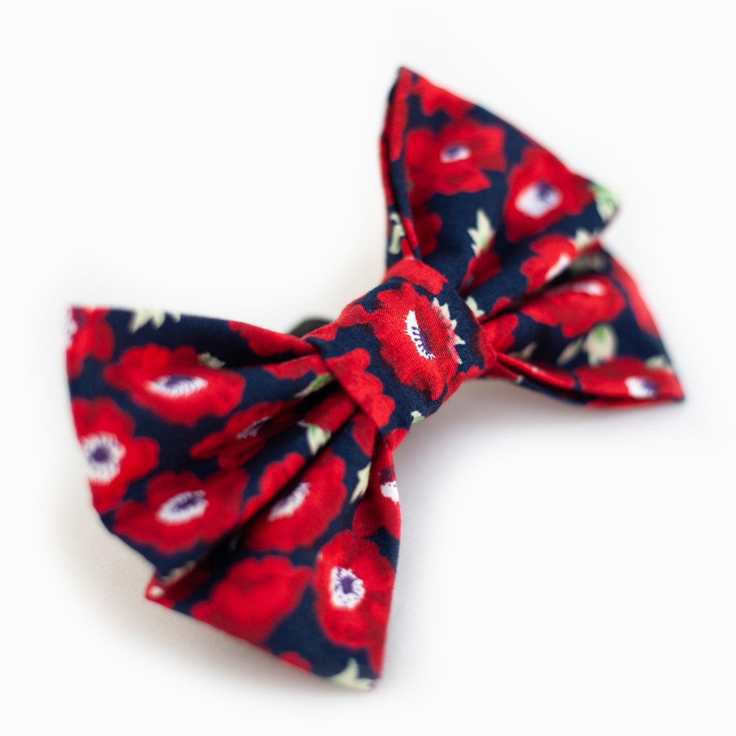 Poppy Dog Bow