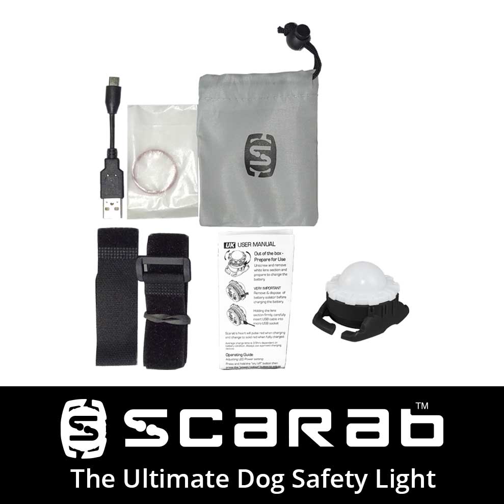 New Scarab Uno - Rechargeable Dog Safety Light