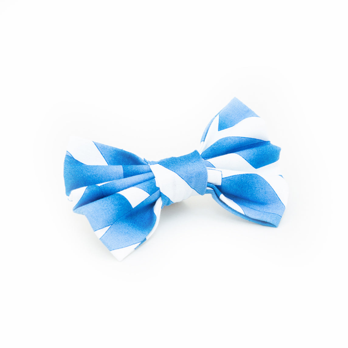 Scottish Flag Dog Bow