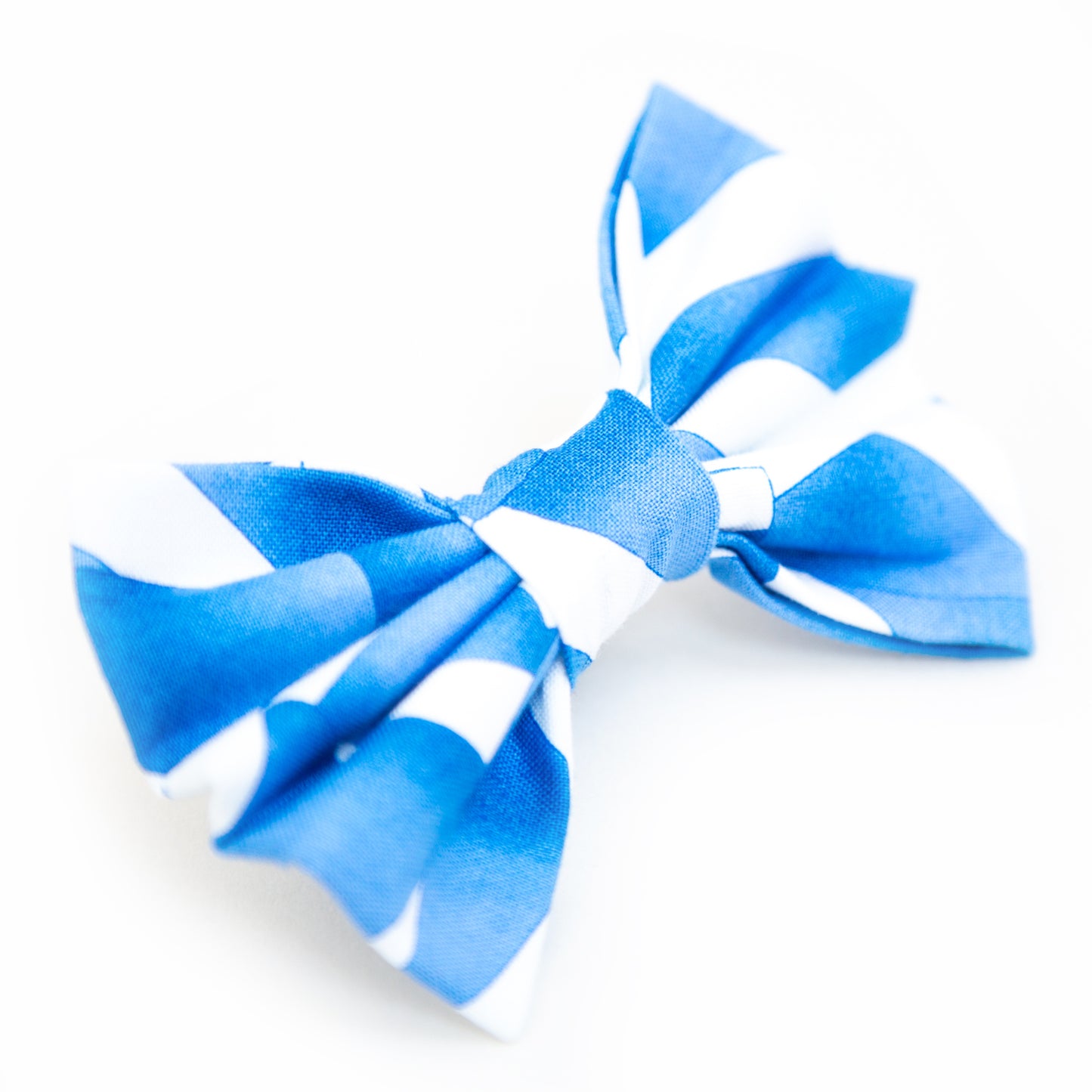 Scottish Flag Dog Bow