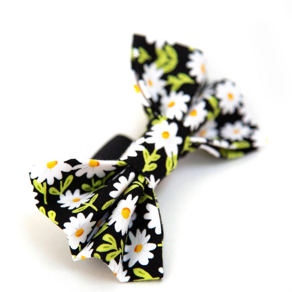 Daisy Dog Bow