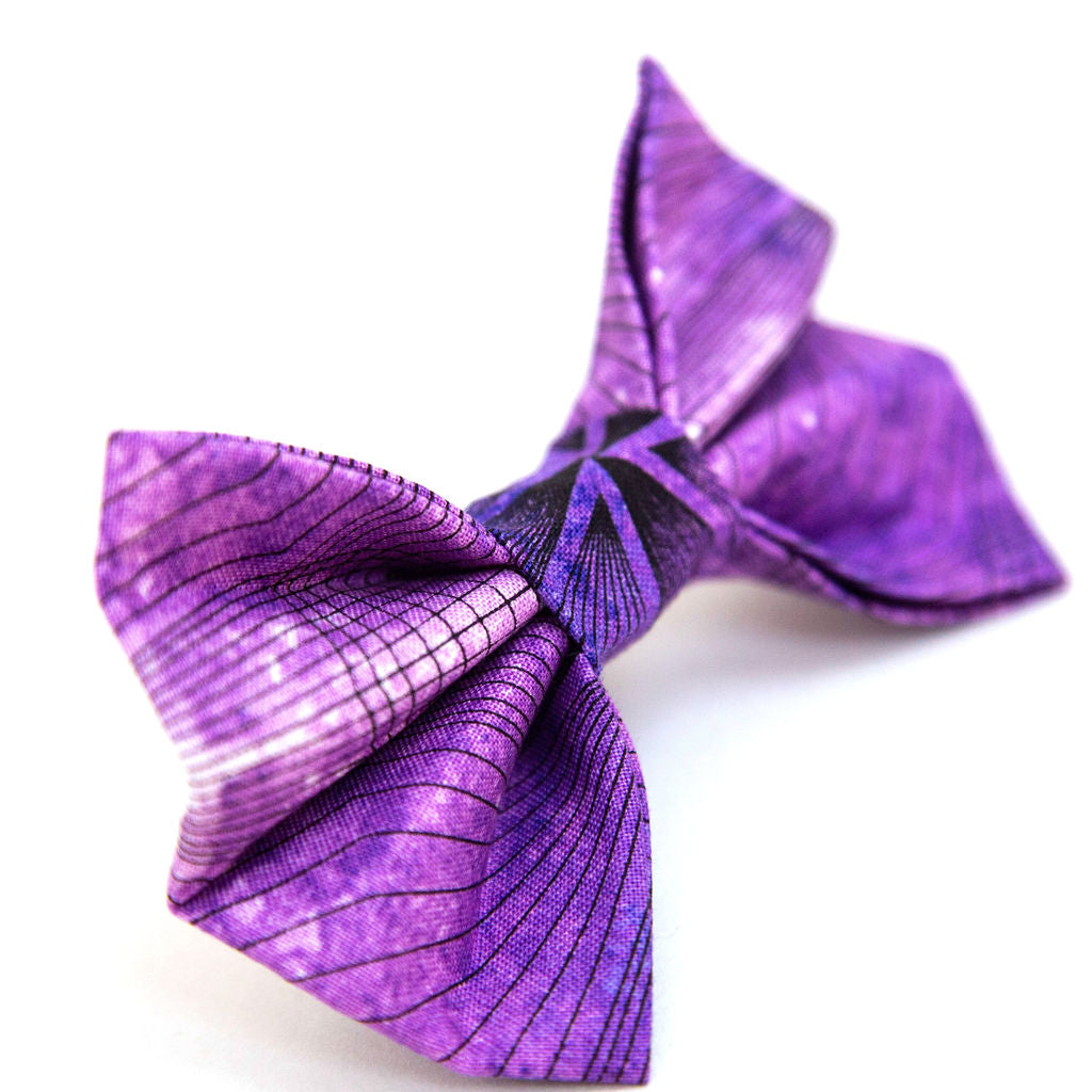 Illusion Dog Bow