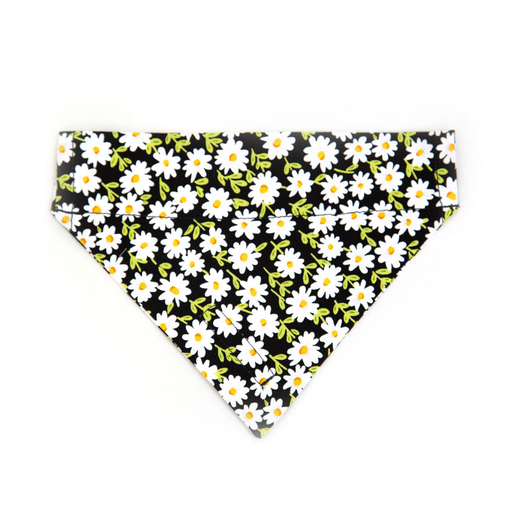 Daisy Dog Bandana