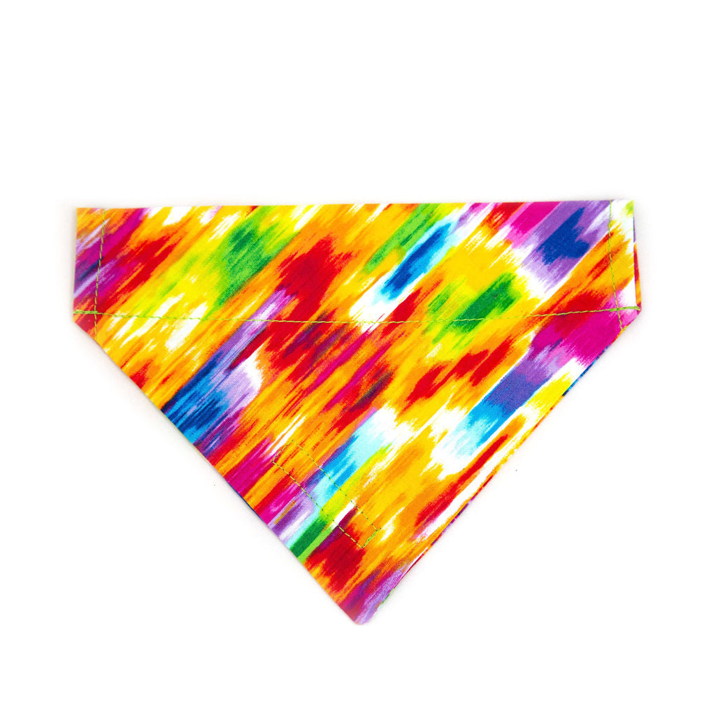 Calypso Dog Bandana