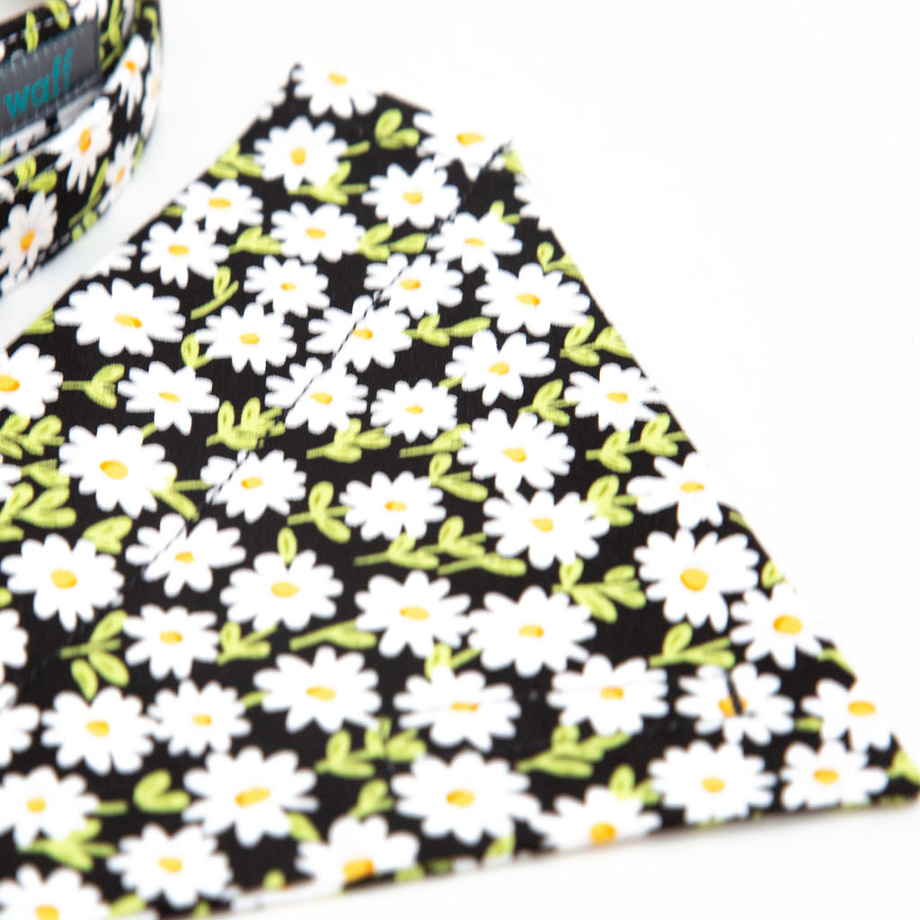 Daisy Dog Bandana