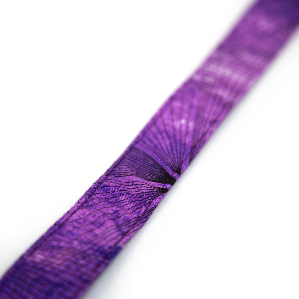 Illusion Dog Collar