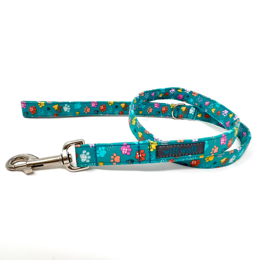 Dog leash with colourful paw patterns on a turquoise background