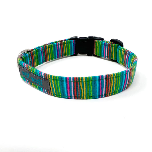 Carnival Dog Collar