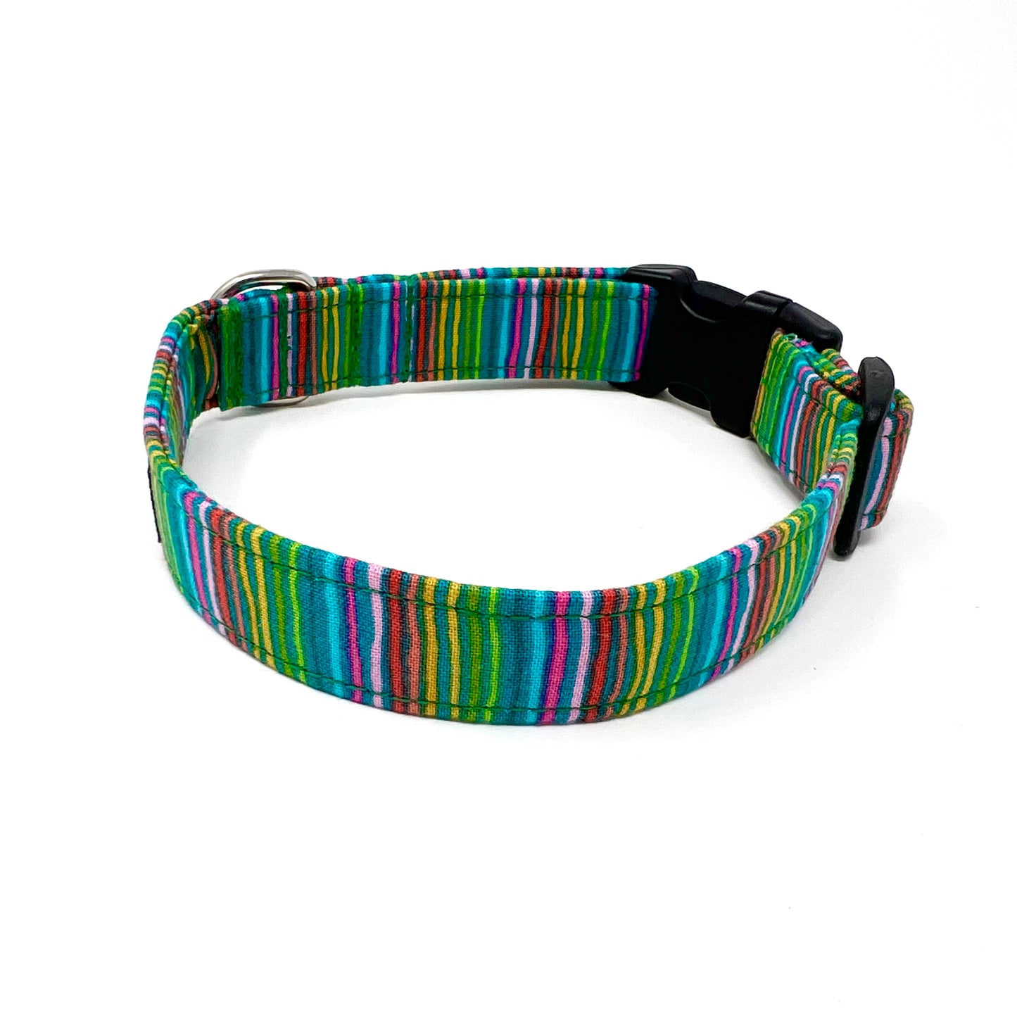 Carnival Dog Collar