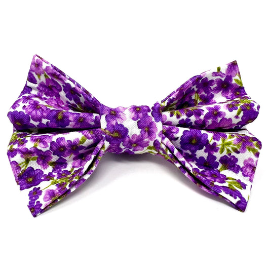 Fleur Purple Dog Bow
