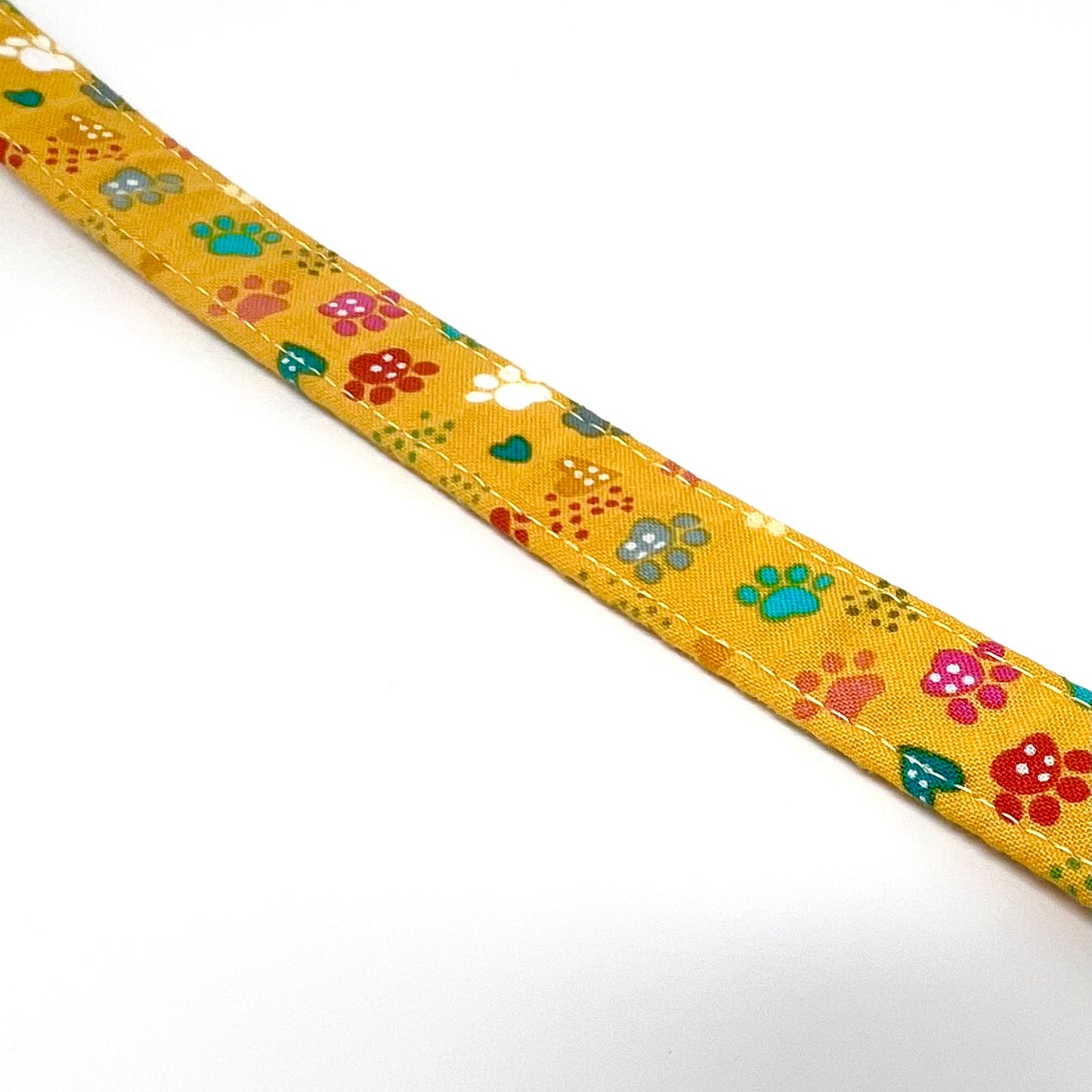 Pawsitively Yellow Dog Collar
