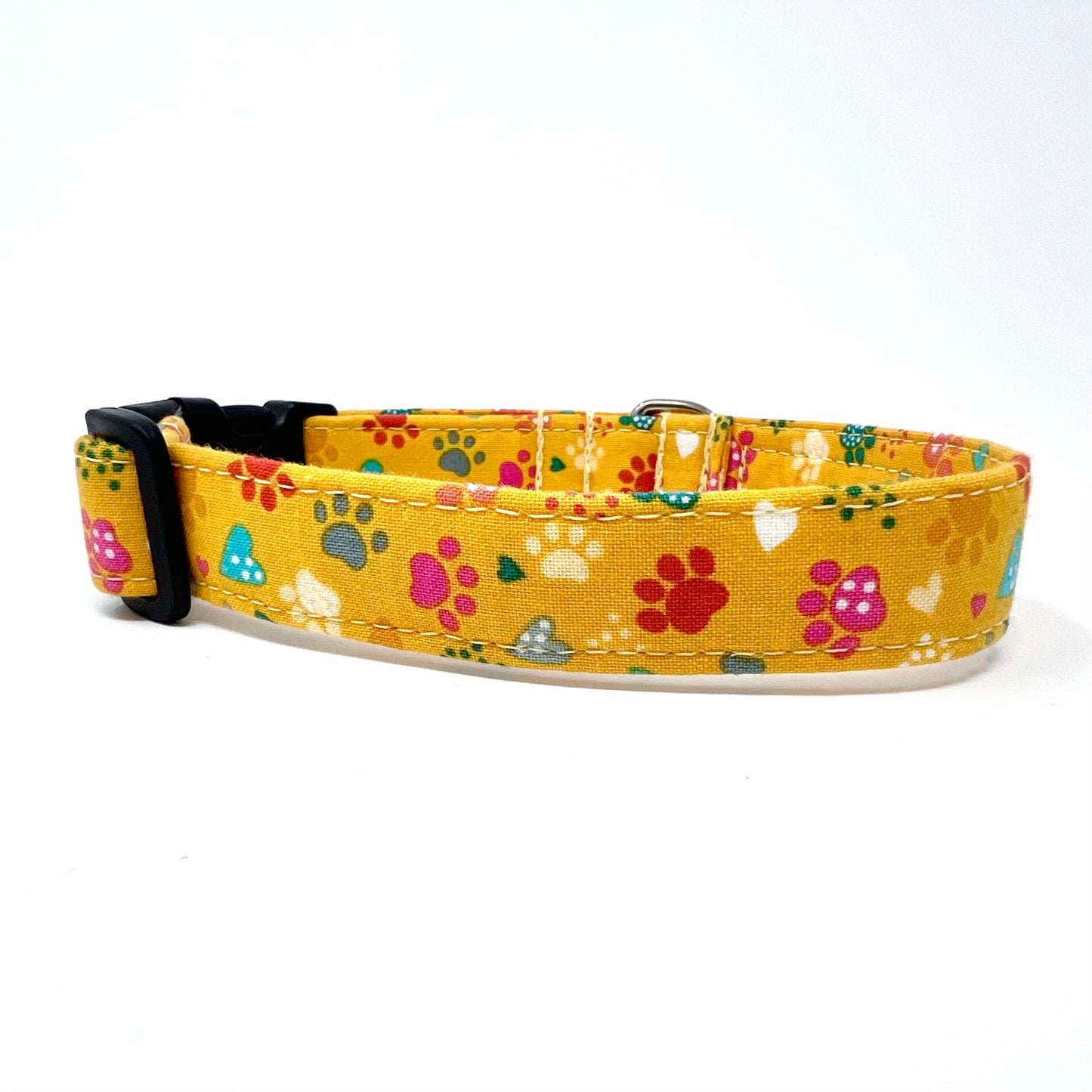 Pawsitively Yellow Dog Collar