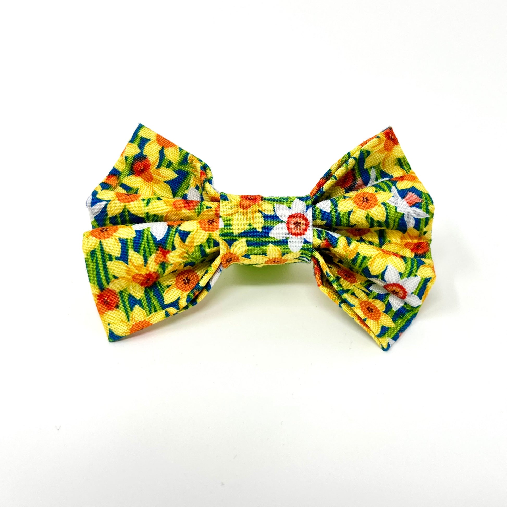 yellow and white daffodils on a dark blue background dog bow