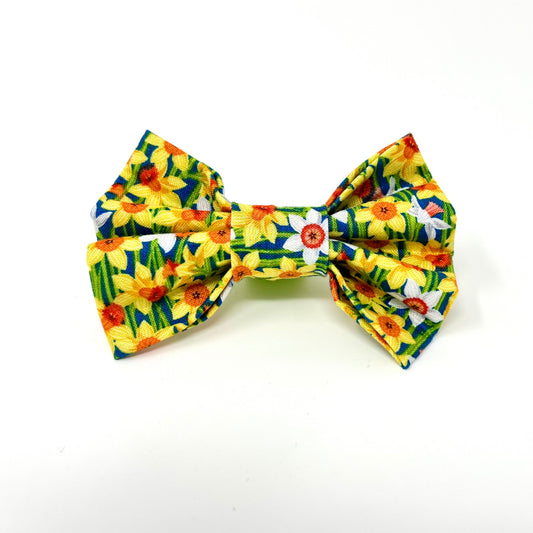 yellow and white daffodils on a dark blue background dog bow