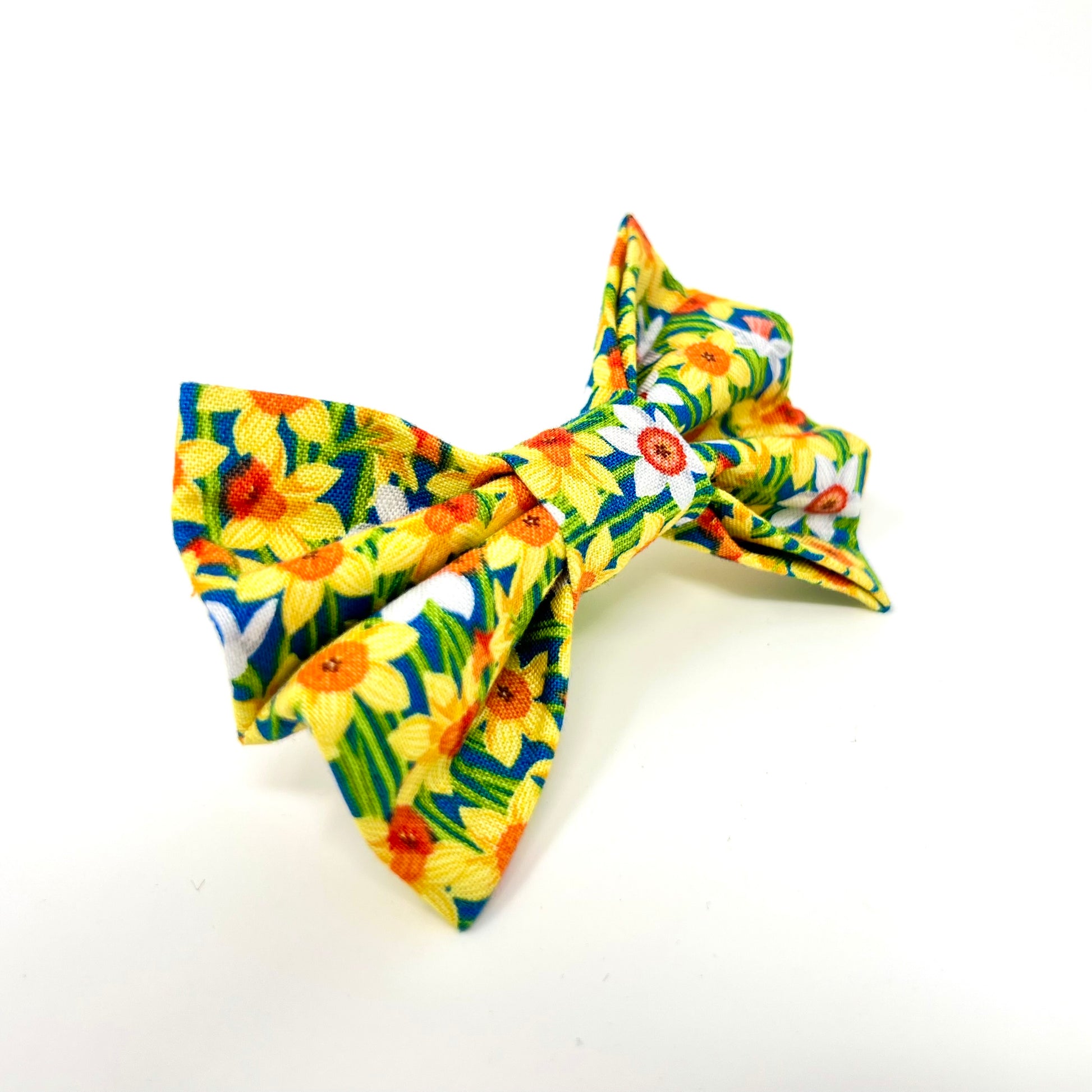 yellow and white daffodils on a dark blue background dog bow