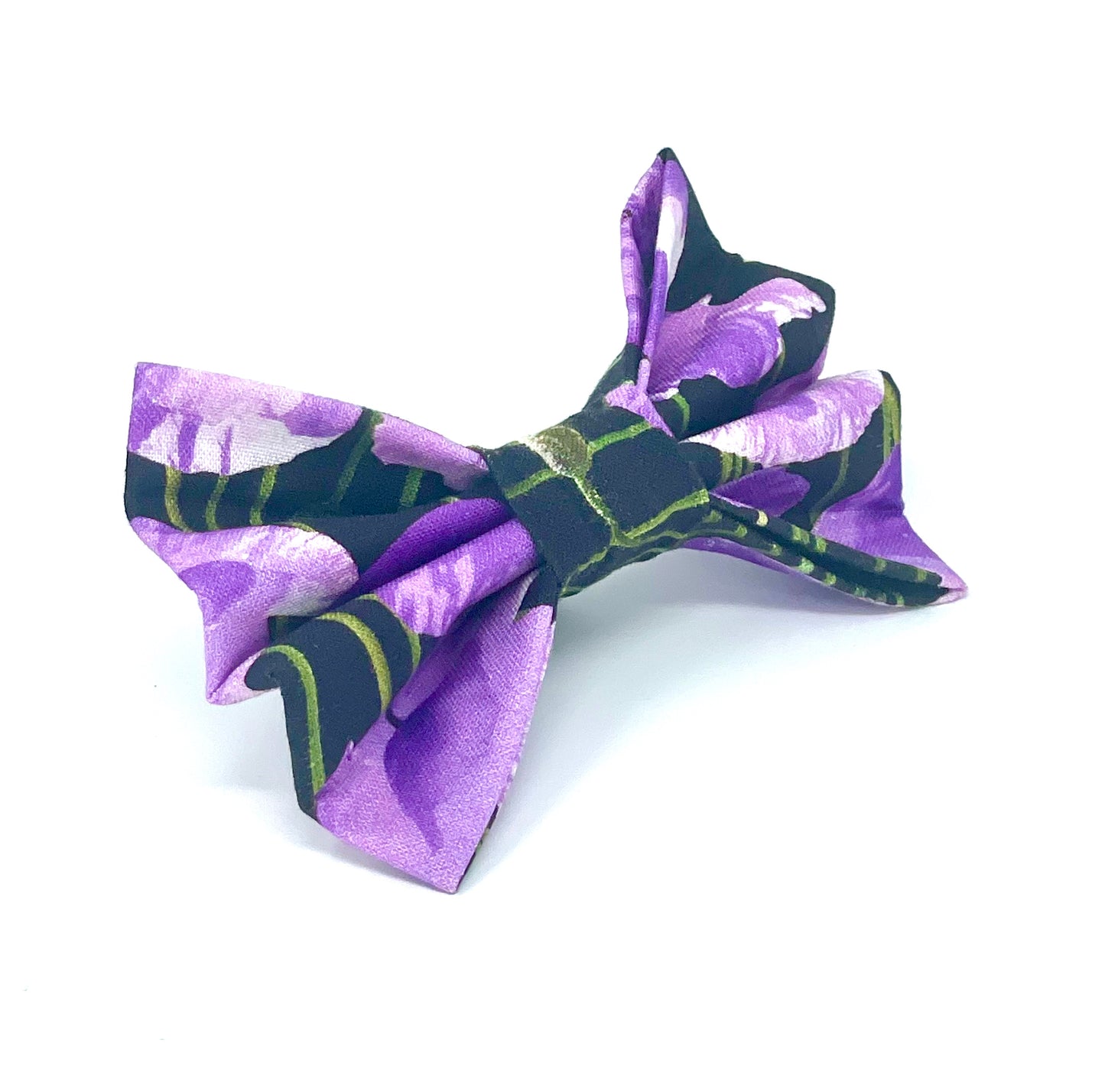 Purple Poppy Dog Bow
