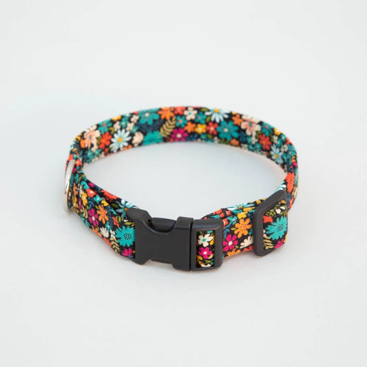 Festival Sun Dog Collar