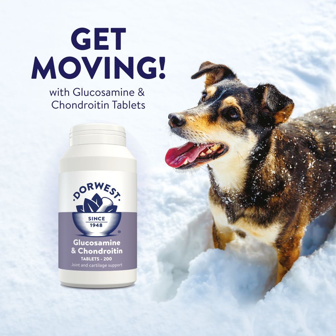 Dorwest Glucosamine & Chondroitin for Dogs & Cats