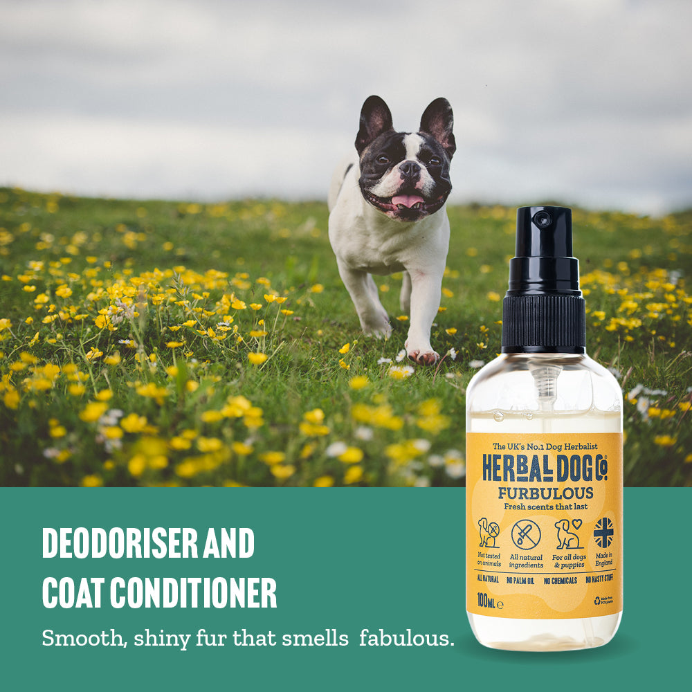 Herbal Dog Co Furbulous Raspberry & Vanilla Natural Deodoriser