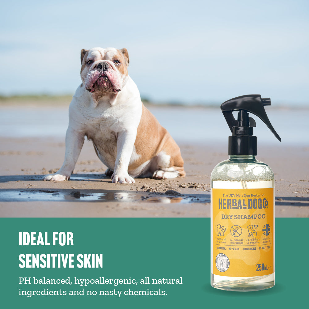 Herbal Dog Co Furbulous Raspberry & Vanilla Natural Deodoriser