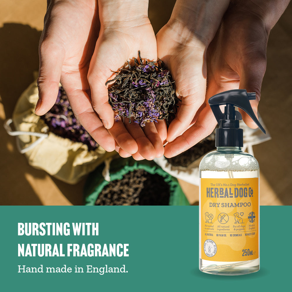 Herbal Dog Co Furbulous Parma Violet Natural Deodoriser