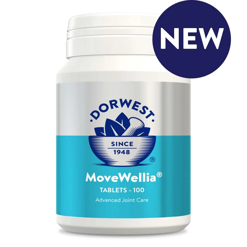 Dorwest MoveWellia Tablets for Dogs and Cats