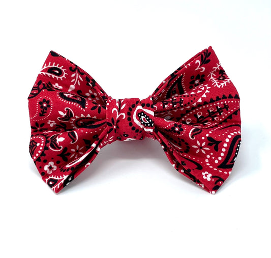 Red Paisley Dog Bow
