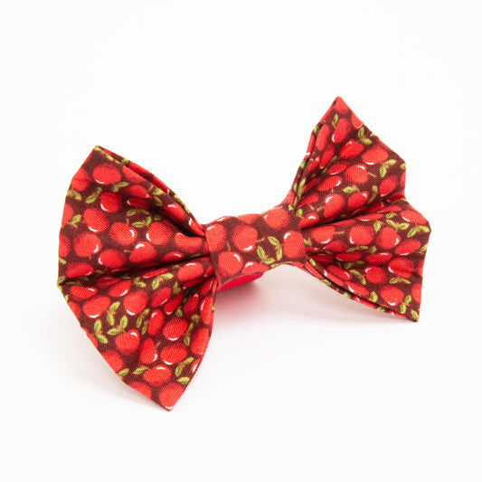Red Apples Dog Bow