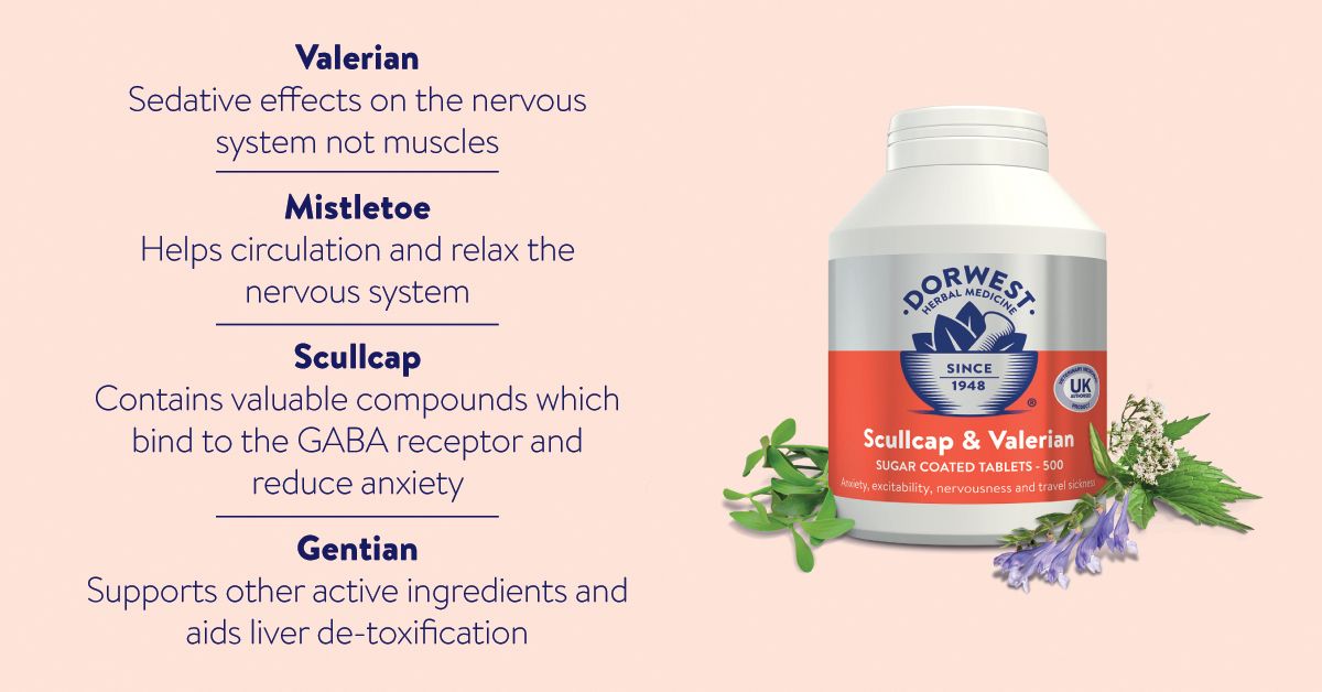 Dorwest Scullcap & Valerian for Dogs & Cats