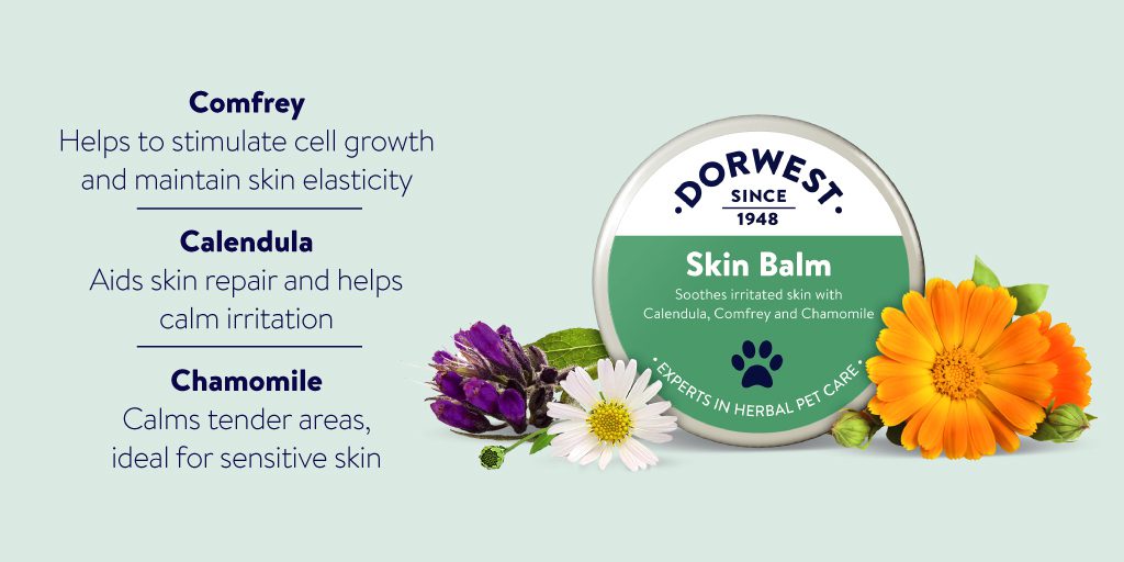 Dorwest Skin Balm - 50ml