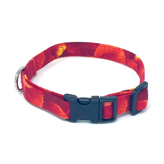 Sunrise Dog Collar