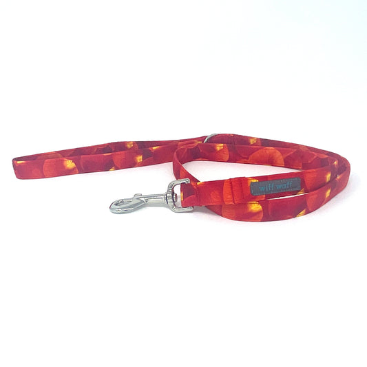 Sunrise Dog Lead