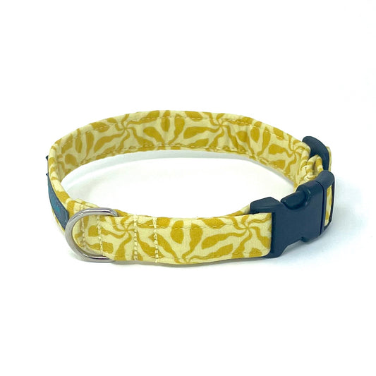 Sunshine Dog Collar