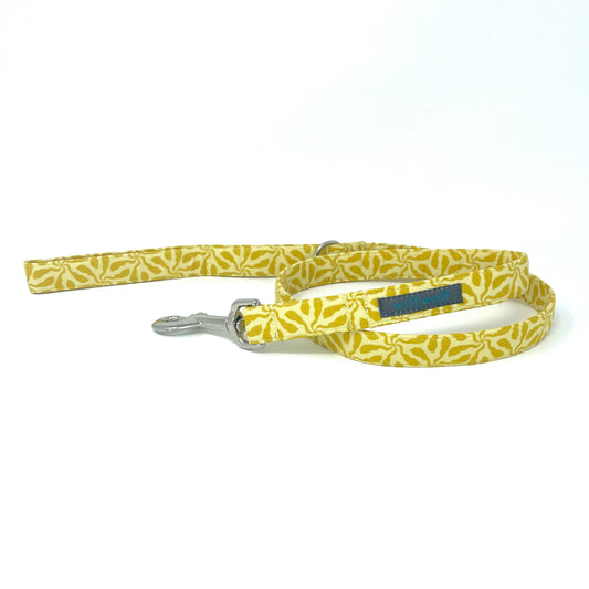 Sunshine Dog Lead