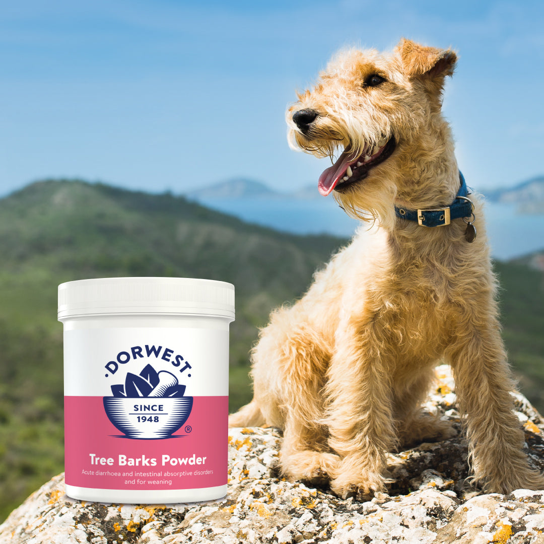 Dorwest Tree Barks Powder for Dogs & Cats