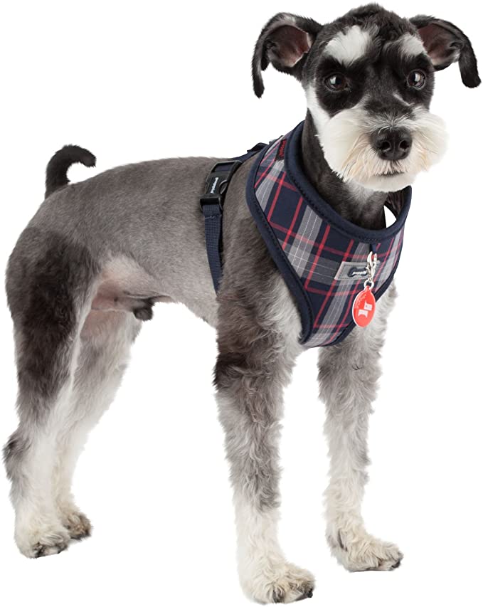 Puppia membranen harness petco